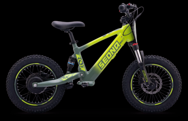 Elektro Apollo Fahrrad Sedna SX16"